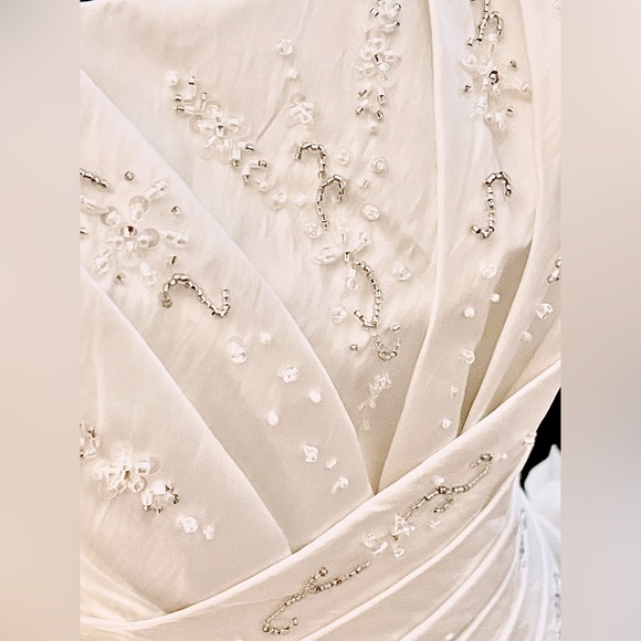 Ladybird Wedding Dress - Picture 4 of 7